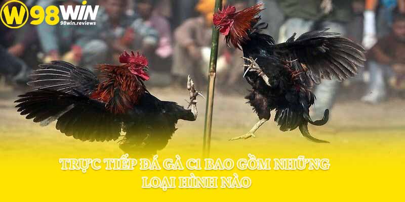 Trực tiếp đá gà C1 bao gồm những loại hình nào