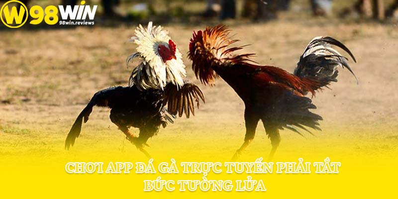 Chơi app đá gà trực tuyến phải tắt bức tường lửa