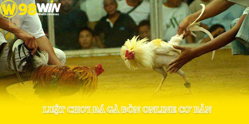 Luật chơi đá gà đòn online cơ bản