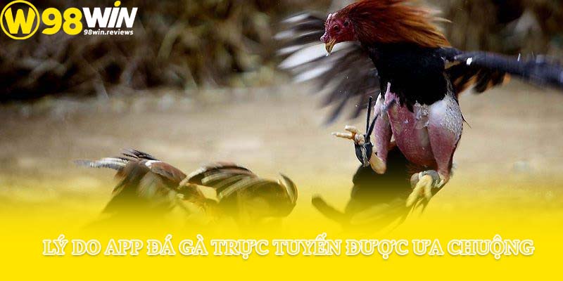 Lý do app đá gà trực tuyến được ưa chuộng